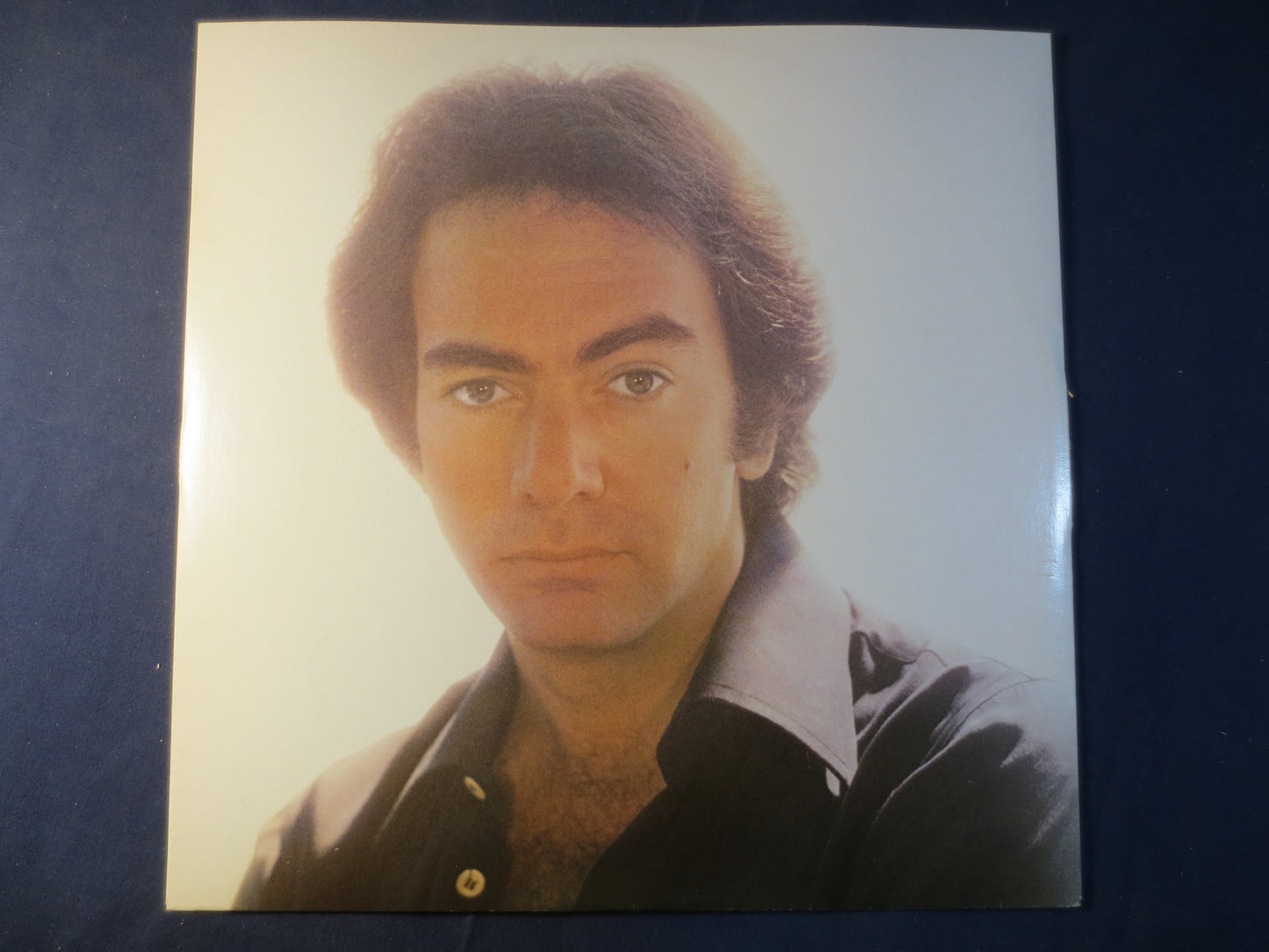 NEIL DIAMOND, I'm Glad You're Here With Me Tonight, Neil Diamond Records, Neil Diamond Album, Neil Diamond Lp, 1977 Records