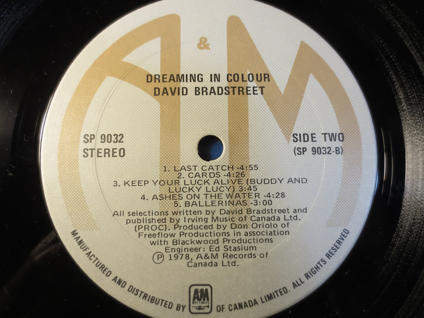 DAVID BRADSTREET, DREAMING in Colour, David Bradstreet Lp, Folk Records, Vinyl Records, Record Vinyl, Records, 1978 Records