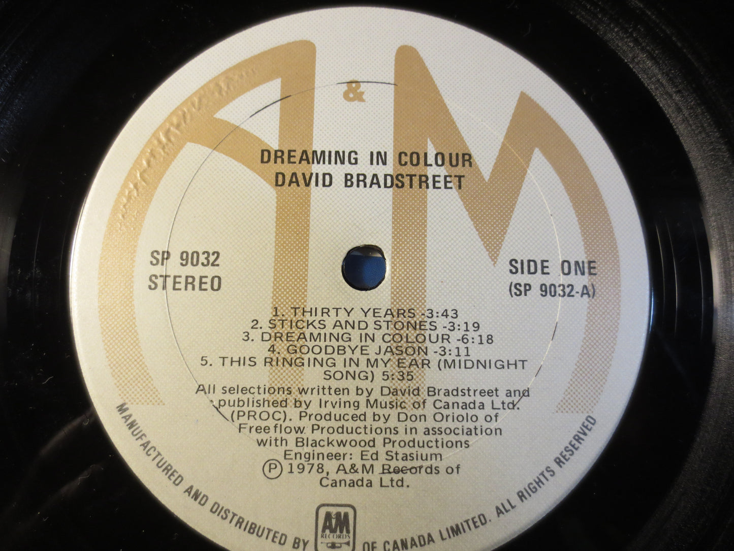 DAVID BRADSTREET, DREAMING in Colour, David Bradstreet Lp, Folk Records, Vinyl Records, Record Vinyl, Records, 1978 Records