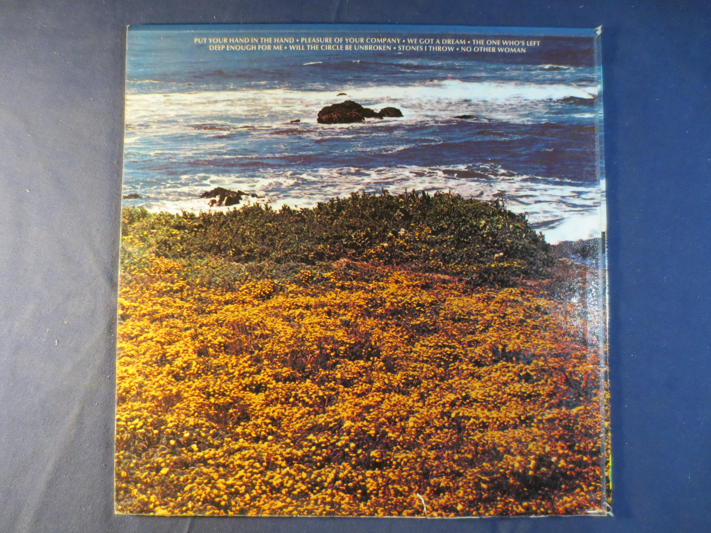 OCEAN, Put Your HAND in the HAND, Ocean Records, Ocean Albums, Ocean Lps, Vinyl Records, Folk Records, Vinyl, 1971 Records