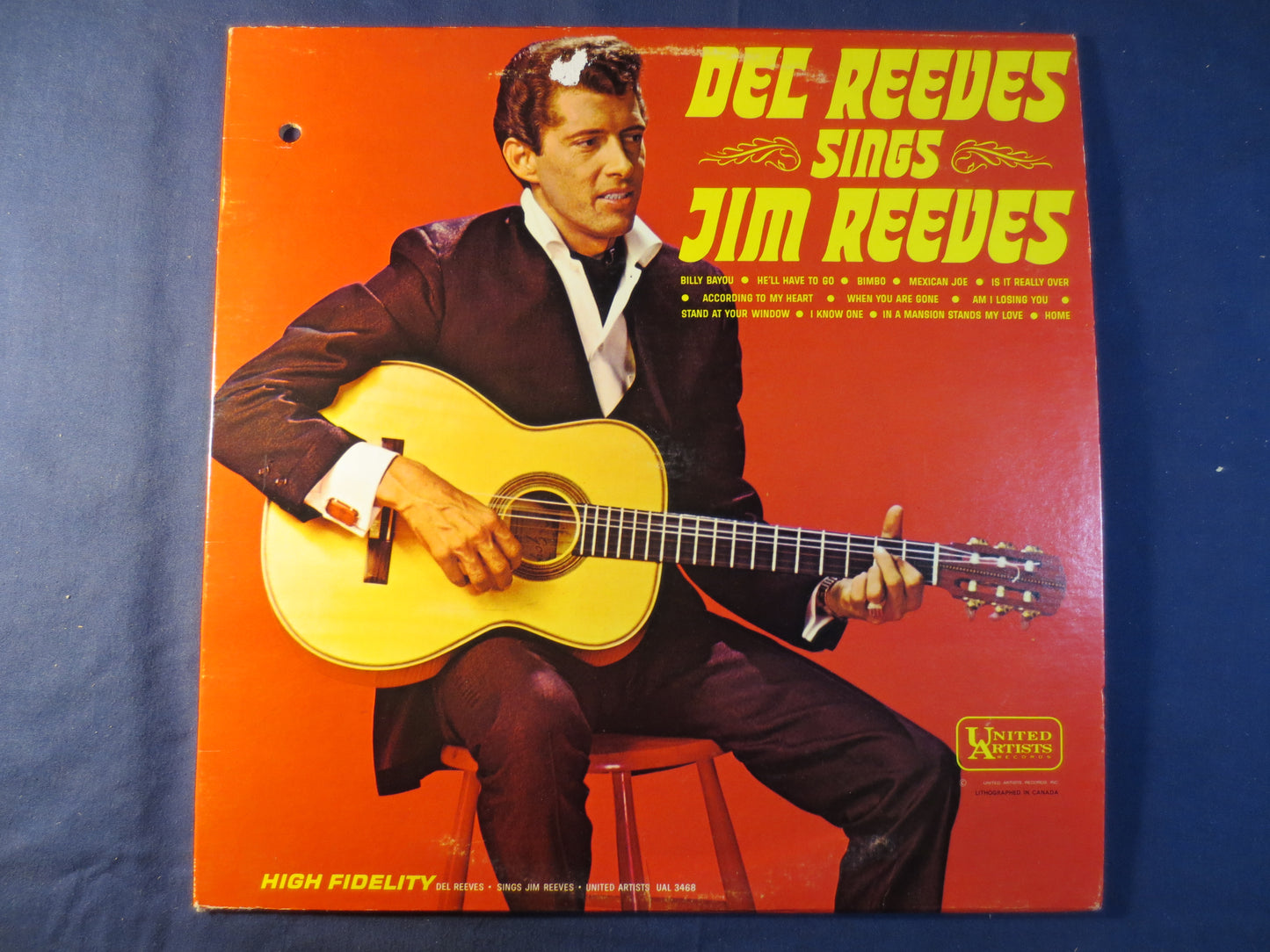 DEL REEVES, Sings JIM Reeves, Country Records, Del Reeves Record, Del Reeves Album, Del Reeves Lp, Country Lp, 1965 Records