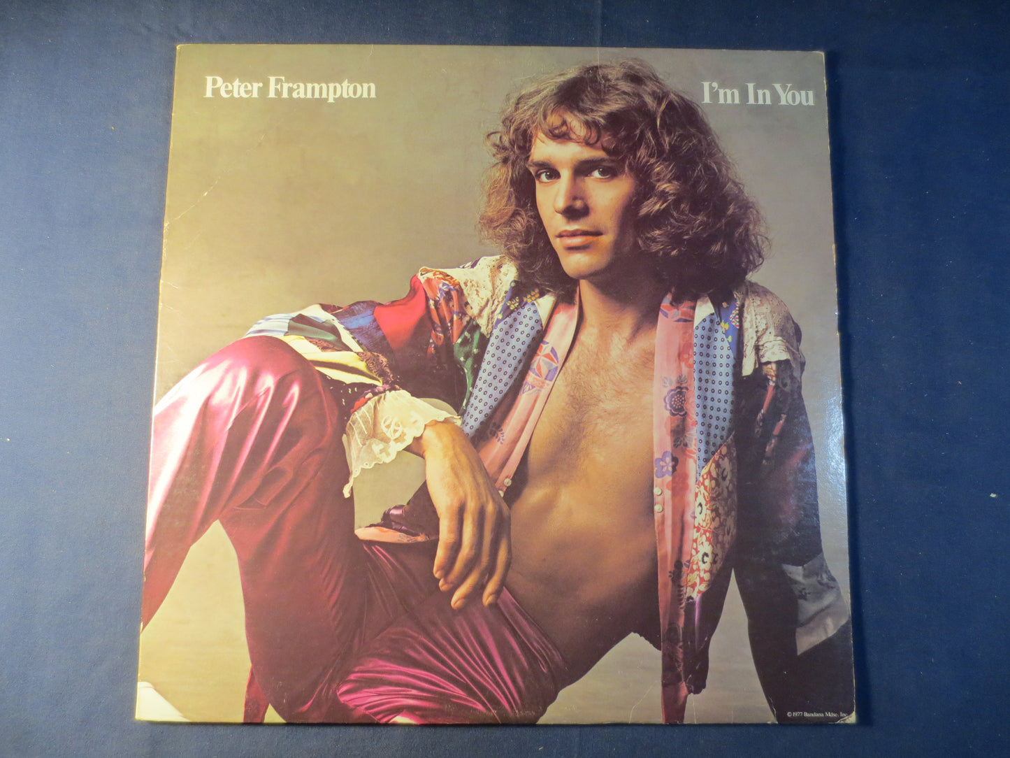 PETER FRAMPTON, I'm In YOU, Peter Frampton Album, Rock Records, Peter Frampton Lp, Vinyl Records, Vinyl Album, 1977 Records