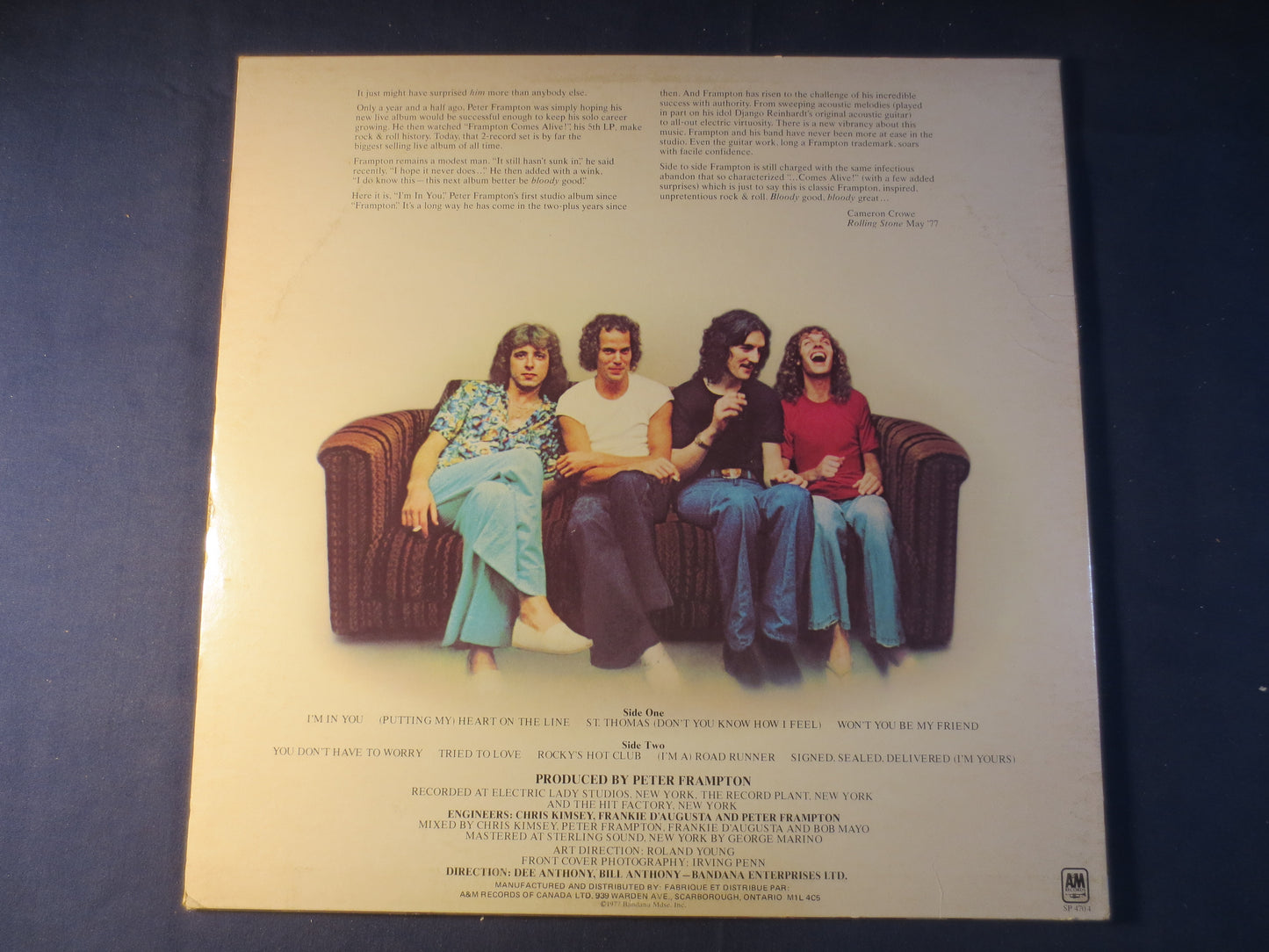 PETER FRAMPTON, I'm In YOU, Peter Frampton Album, Rock Records, Peter Frampton Lp, Vinyl Records, Vinyl Album, 1977 Records