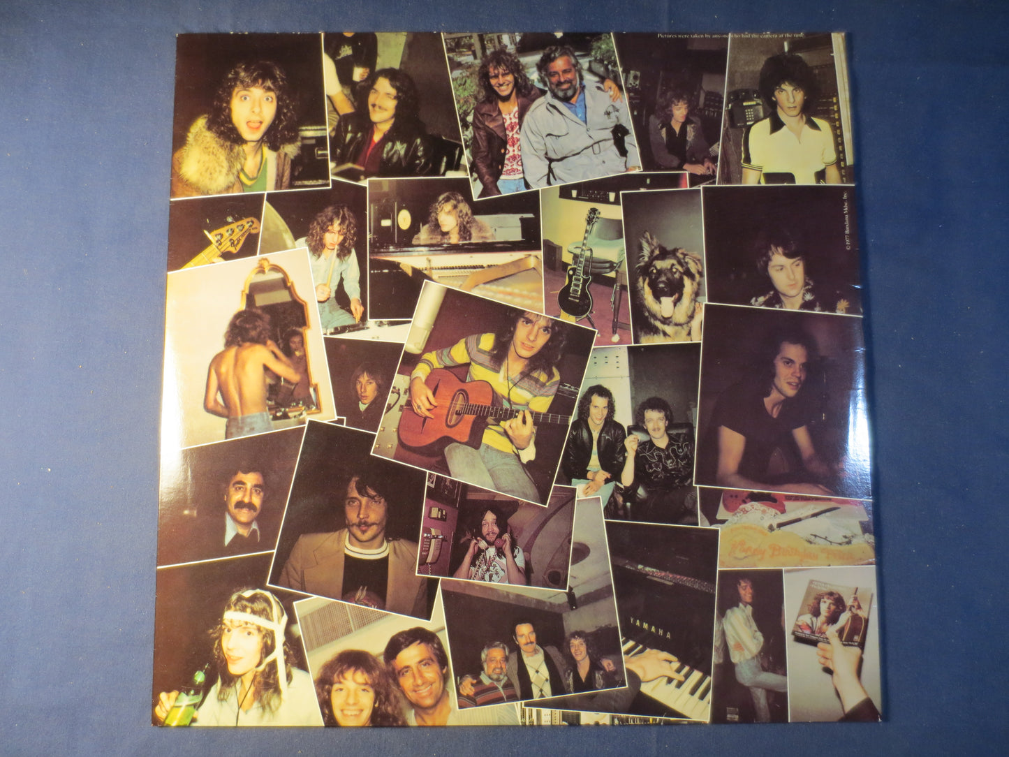 PETER FRAMPTON, I'm In YOU, Peter Frampton Album, Rock Records, Peter Frampton Lp, Vinyl Records, Vinyl Album, 1977 Records