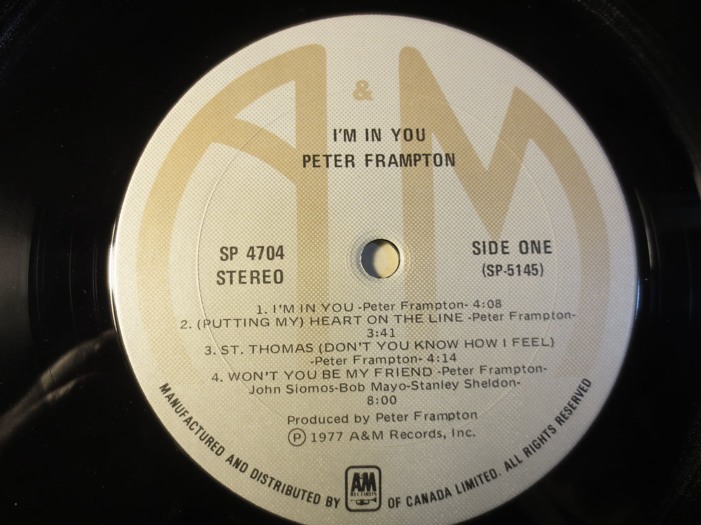 PETER FRAMPTON, I'm In YOU, Peter Frampton Album, Rock Records, Peter Frampton Lp, Vinyl Records, Vinyl Album, 1977 Records