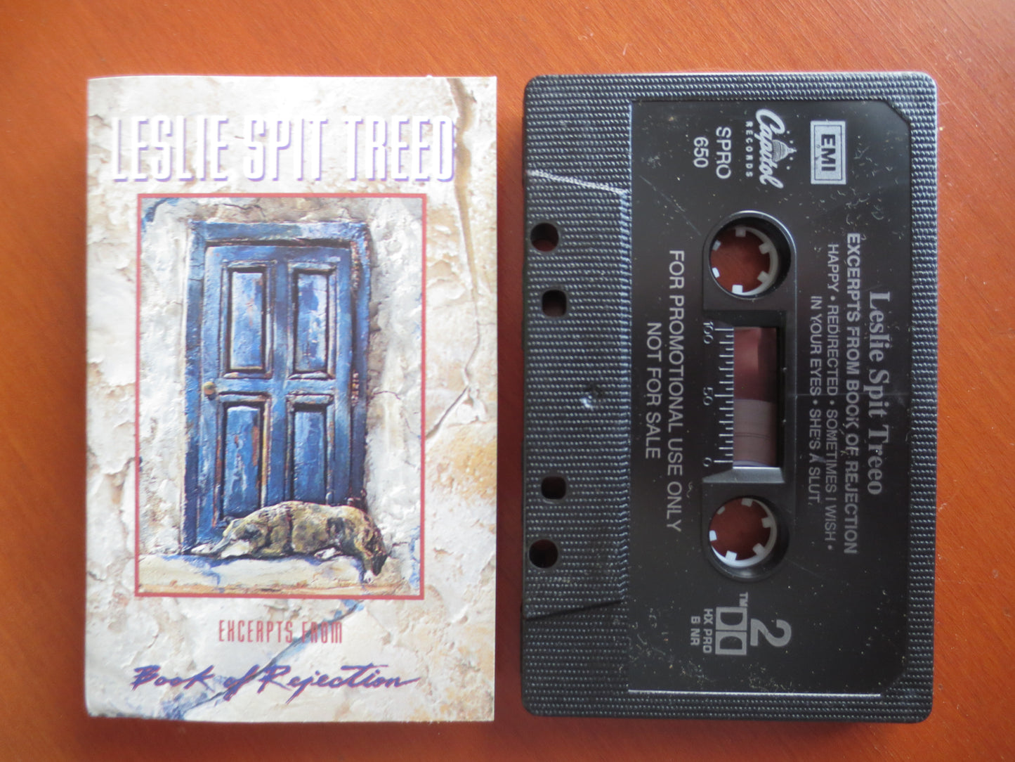 LESLIE SPIT TREEO, Book of Rejection, Leslie Spit Album, Leslie Spit Music, Tape Cassette, Vintage Cassette, 1992 Cassette