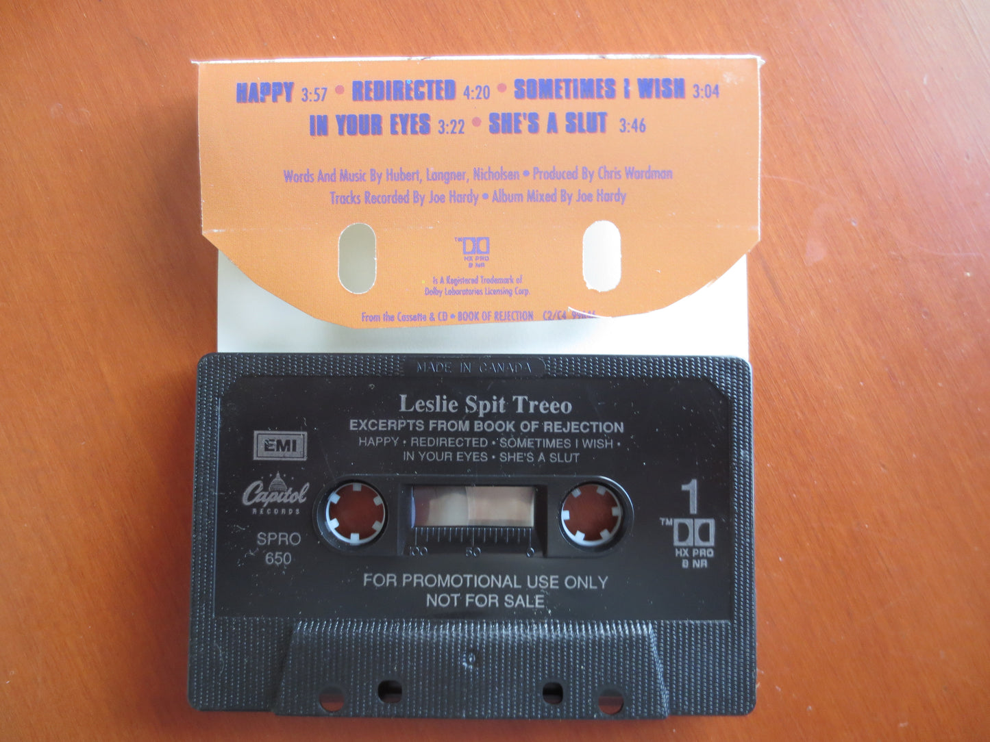 LESLIE SPIT TREEO, Book of Rejection, Leslie Spit Album, Leslie Spit Music, Tape Cassette, Vintage Cassette, 1992 Cassette