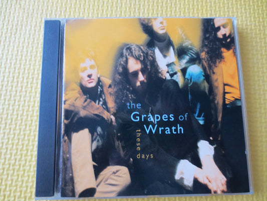 The GRAPES of WRATH, These Days Cd, GRAPES of Wrath Cd, Music Cd, Rock Cd, Pop Music Cd, Vintage Rock Cd, Cd, 1991 Compact Disc