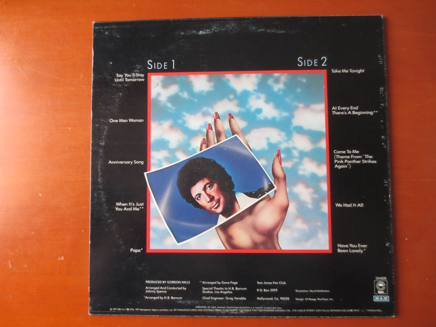 TOM JONES, Say You'll Stay, Tom Jones Records, Tom Jones Albums, Tom Jones Music, Pop Music, Record Vinyl, Lp, 1977 Records