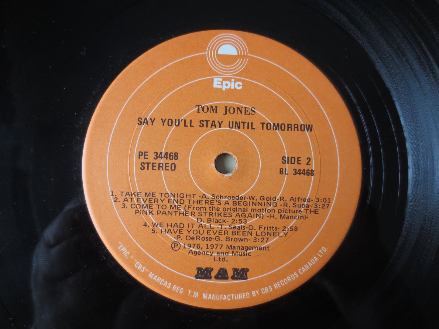 TOM JONES, Say You'll Stay, Tom Jones Records, Tom Jones Albums, Tom Jones Music, Pop Music, Record Vinyl, Lp, 1977 Records