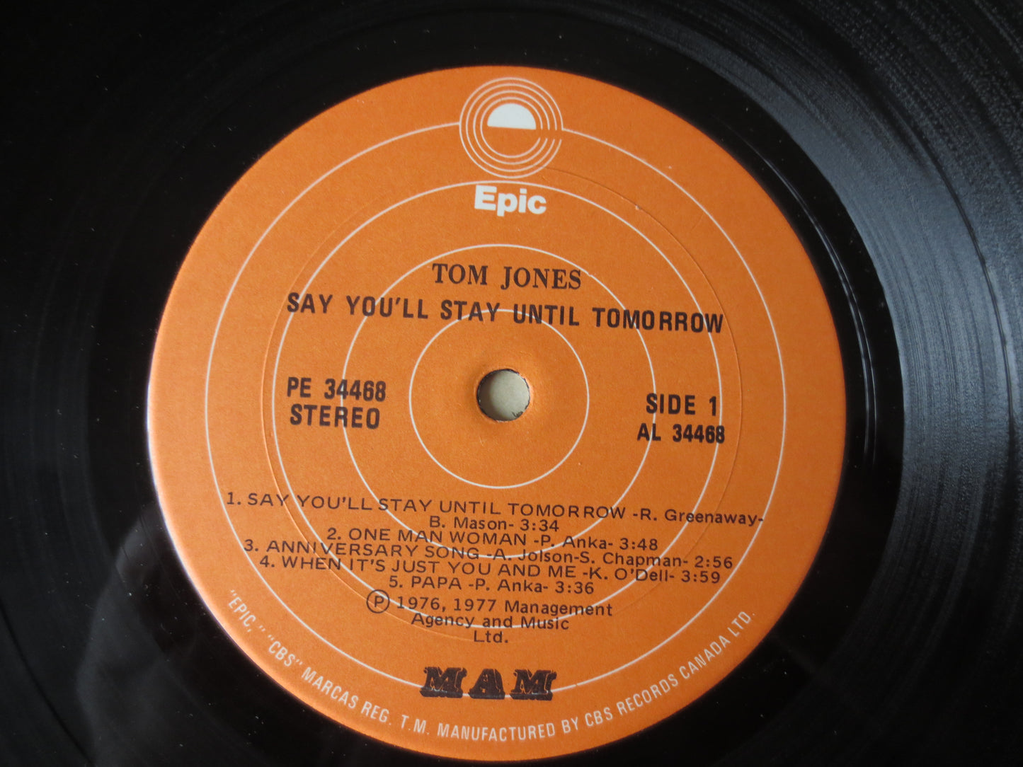 TOM JONES, Say You'll Stay, Tom Jones Records, Tom Jones Albums, Tom Jones Music, Pop Music, Record Vinyl, Lp, 1977 Records