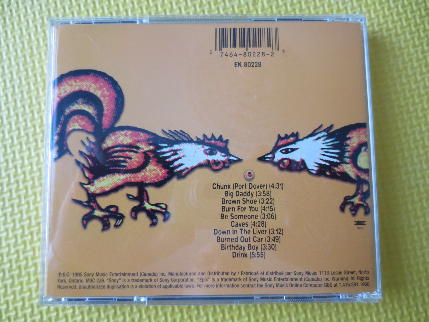 JUNKHOUSE, BIRTHDAY Boy, JUNKHOUSE Cd, Junkhouse Album, Vintage Compact Disc, Junkhouse Lp, Rock Music Cds, 1995 Compact Disc