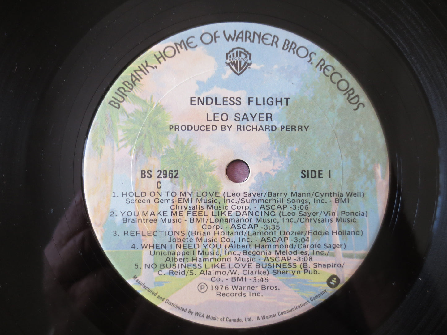 LEO SAYER, Endless FLIGHT, Leo Sayer Records, Leo Sayer Album, Vinyl Records, Leo Sayer Lp, Lps, Vinyl Albums, 1976 Records