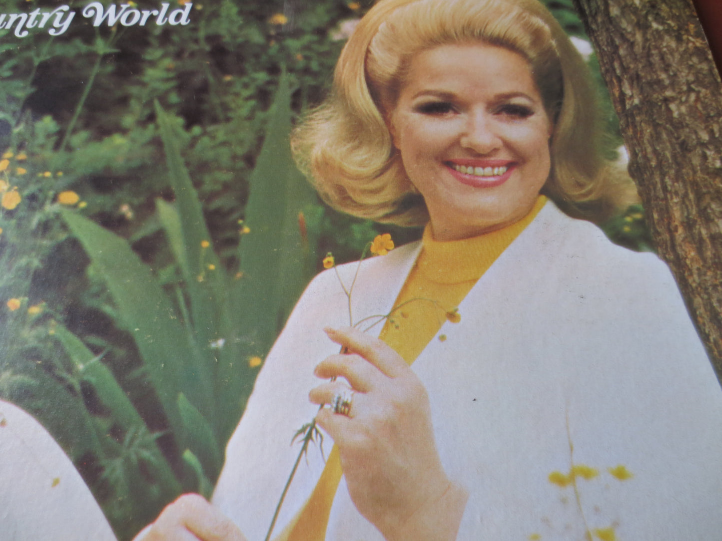 JULIETTE, COUNTRY WORLD, Juliette Albums, Juliette Lp, Music Records, Music Albums, Vinyl, Juliette Records, 1969 Records