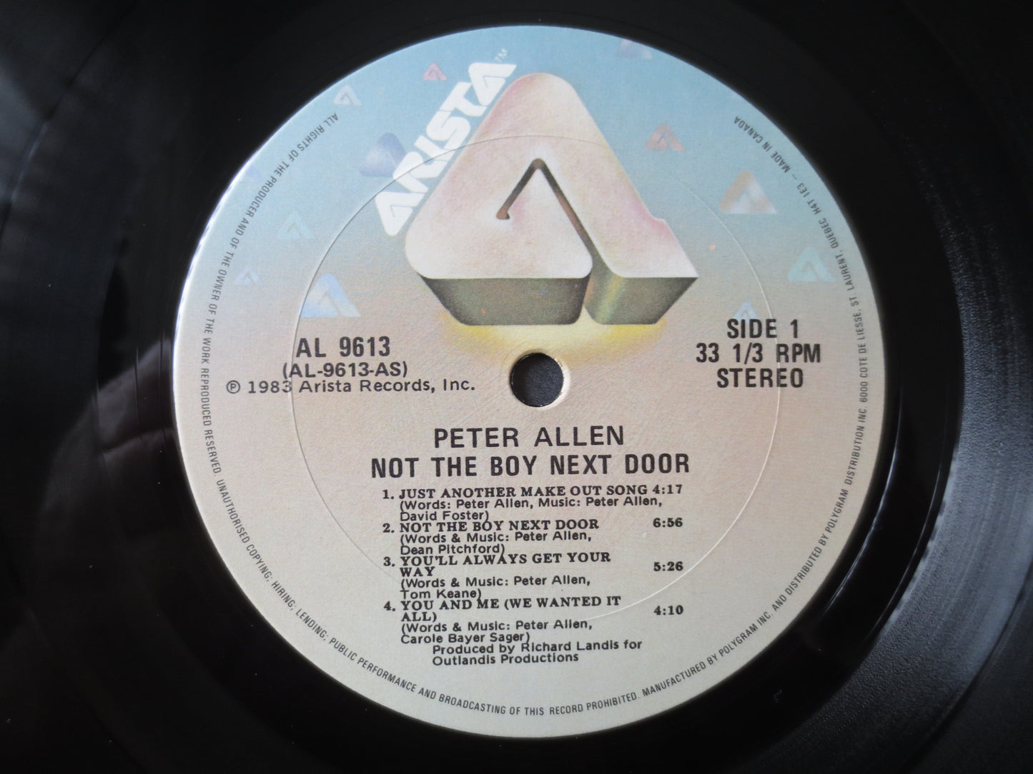 PETER ALLEN, Not The BOY Next Door, Peter Allen Record, Peter Allen Album, Peter Allen Lp, Pop Music Lp, Lps, 1983 Records