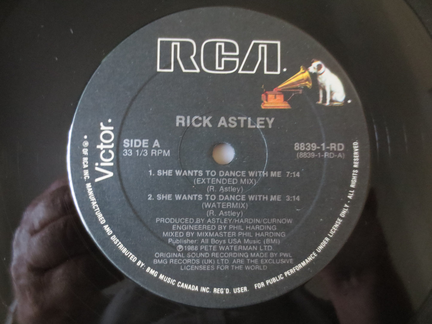 RICK ASTLEY, She WANTS To Dance, Rick Astley Album, Rick Astley Vinyl, Rick Astley Lp, Rick Astley Ep, Vinyl, 1988 Records