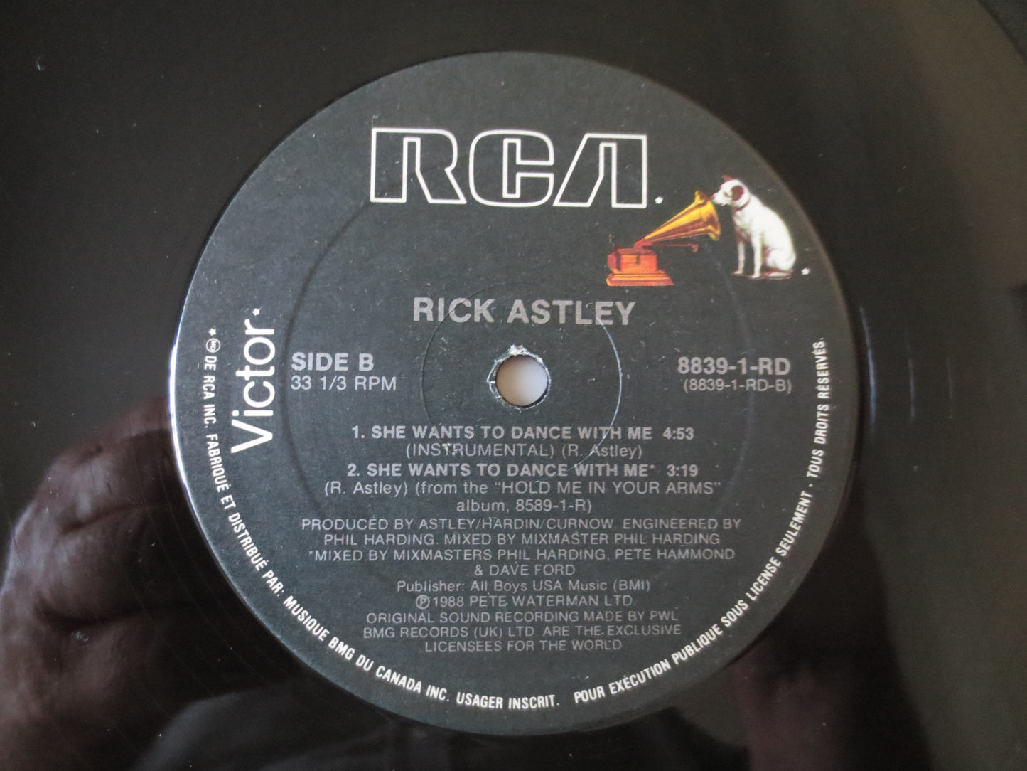 RICK ASTLEY, She WANTS To Dance, Rick Astley Album, Rick Astley Vinyl, Rick Astley Lp, Rick Astley Ep, Vinyl, 1988 Records