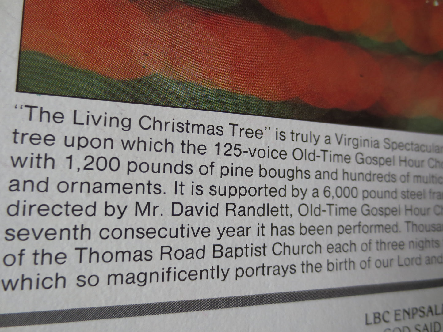 The LIVING CHRISTMAS Tree, CHRISTMAS Songs, Christmas Record, Christmas Vinyl, Christmas Lp, Vinyl Records, 1973 Records