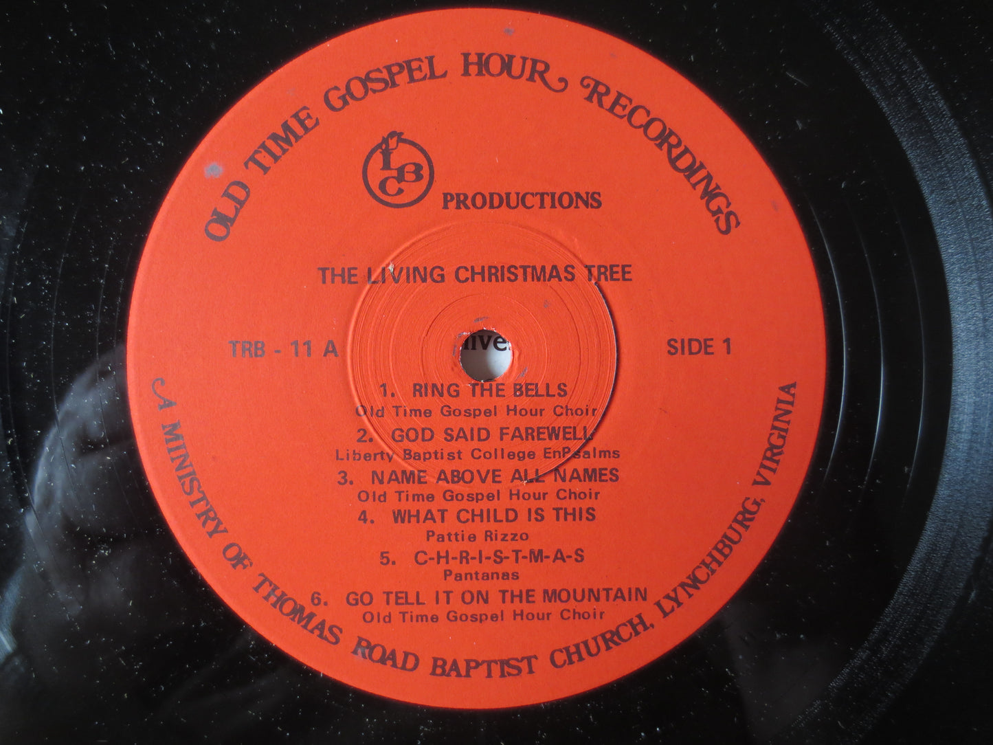 The LIVING CHRISTMAS Tree, CHRISTMAS Songs, Christmas Record, Christmas Vinyl, Christmas Lp, Vinyl Records, 1973 Records