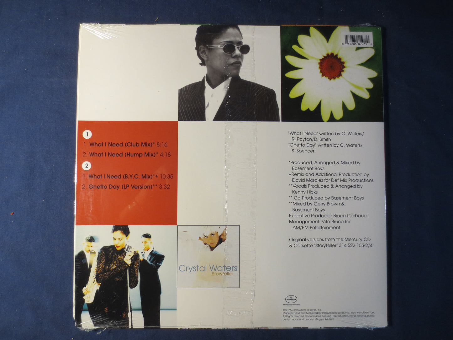 CRYSTAL WATERS, Factory SEALED, What I NEED, Crystal Waters Album, Crystal Waters Lp, Pop Records, Vinyl Records, Vinyl Lps, 1994 Records