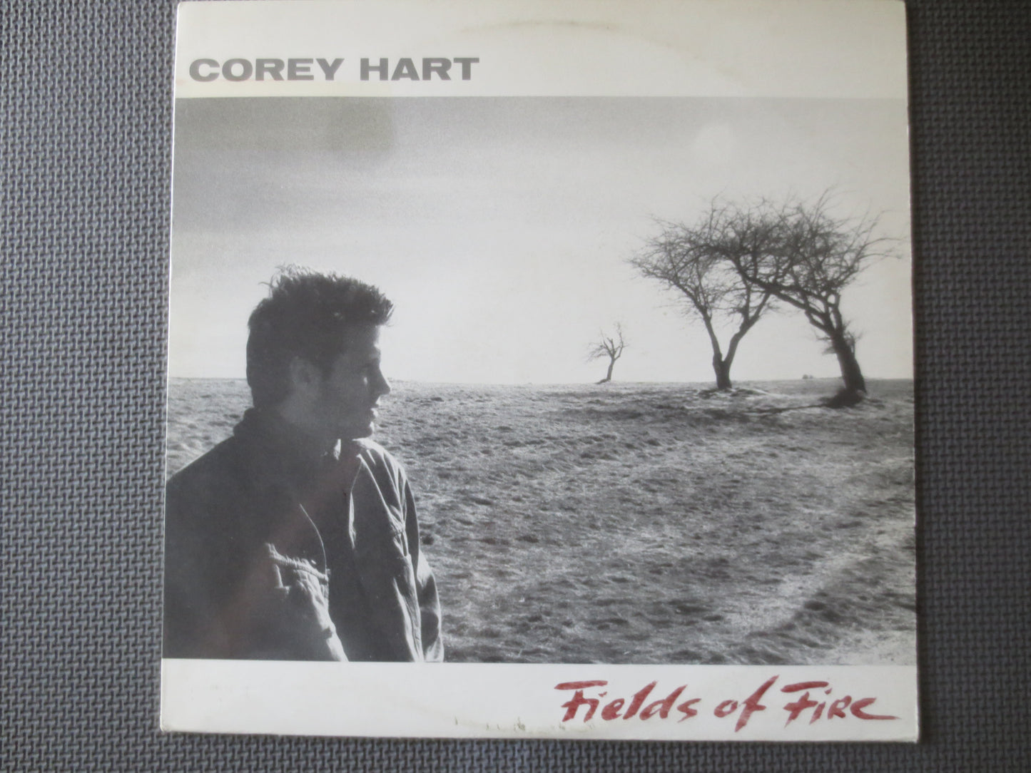 COREY HART, Fields of FIRE, Corey Hart Records, Corey Hart Albums, Vintage Vinyl, Rock Albums, Vinyl Records, 1986 Records