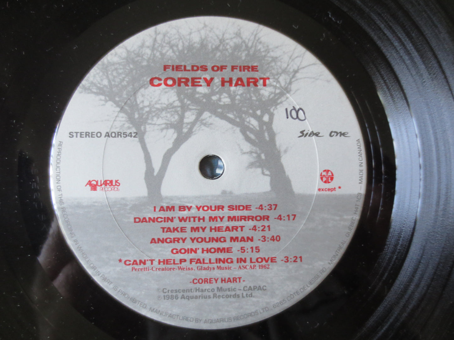 COREY HART, Fields of FIRE, Corey Hart Records, Corey Hart Albums, Vintage Vinyl, Rock Albums, Vinyl Records, 1986 Records