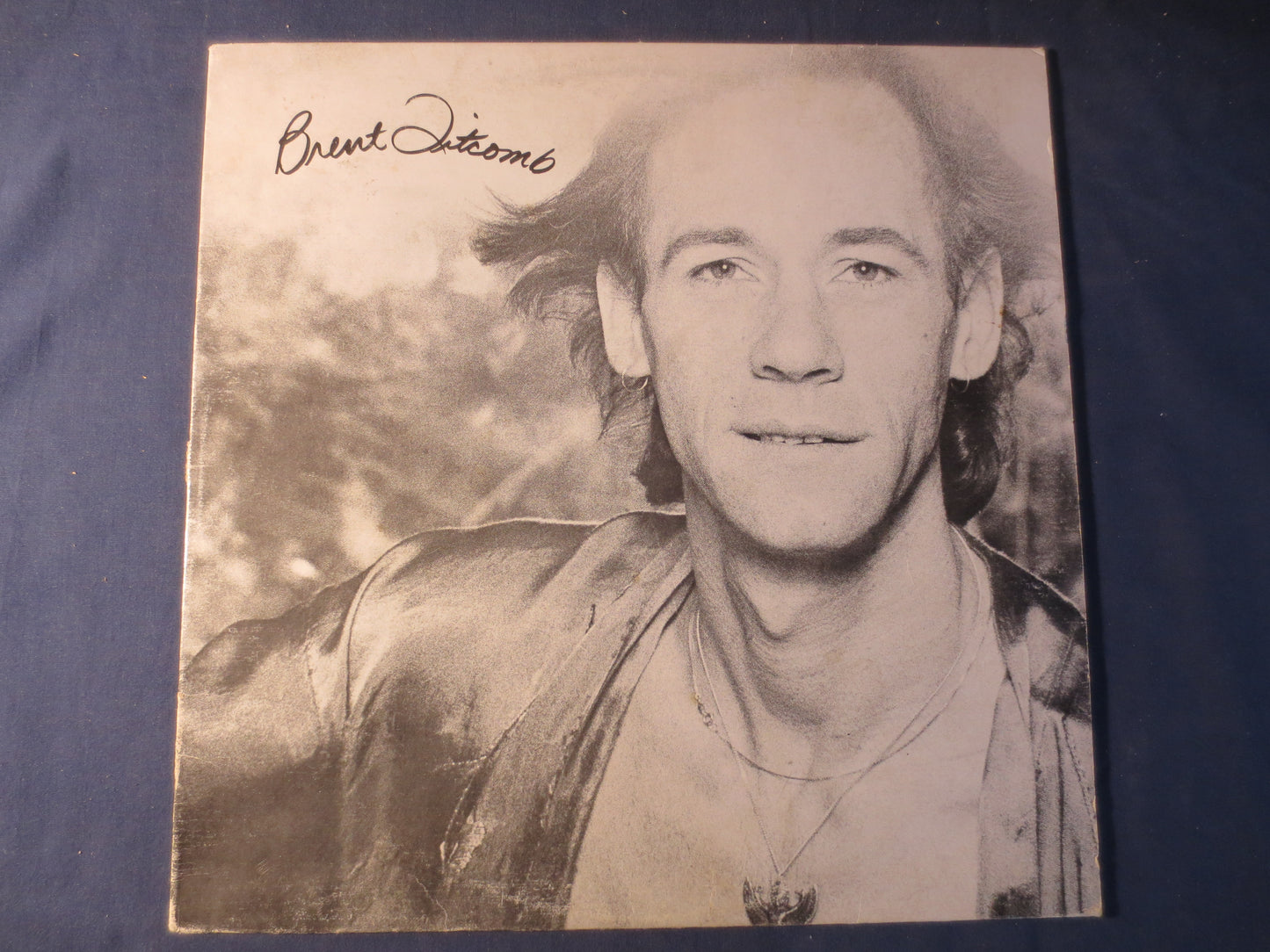 BRENT TITCOMB, May All Beings Be Happy, Brent Titcomb Record, Brent Titcomb Album, Brent Titcomb Lp, Vinyl Lp, 1977 Records