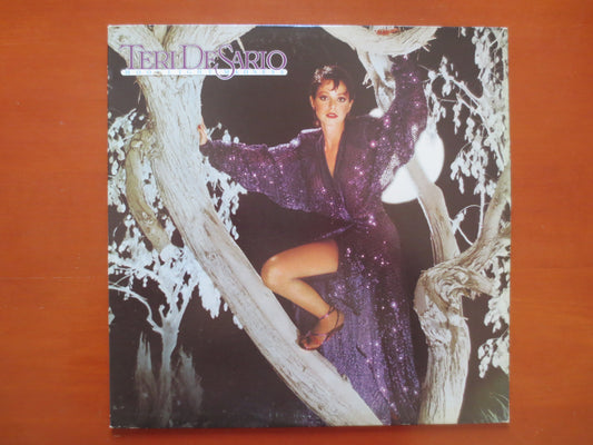 TERRI DE SARIO, Moonlight Madness Lp, Terri De Sario Album, Terri De Sario Vinyl, Disco Record, Disco Lp, 1979 Records