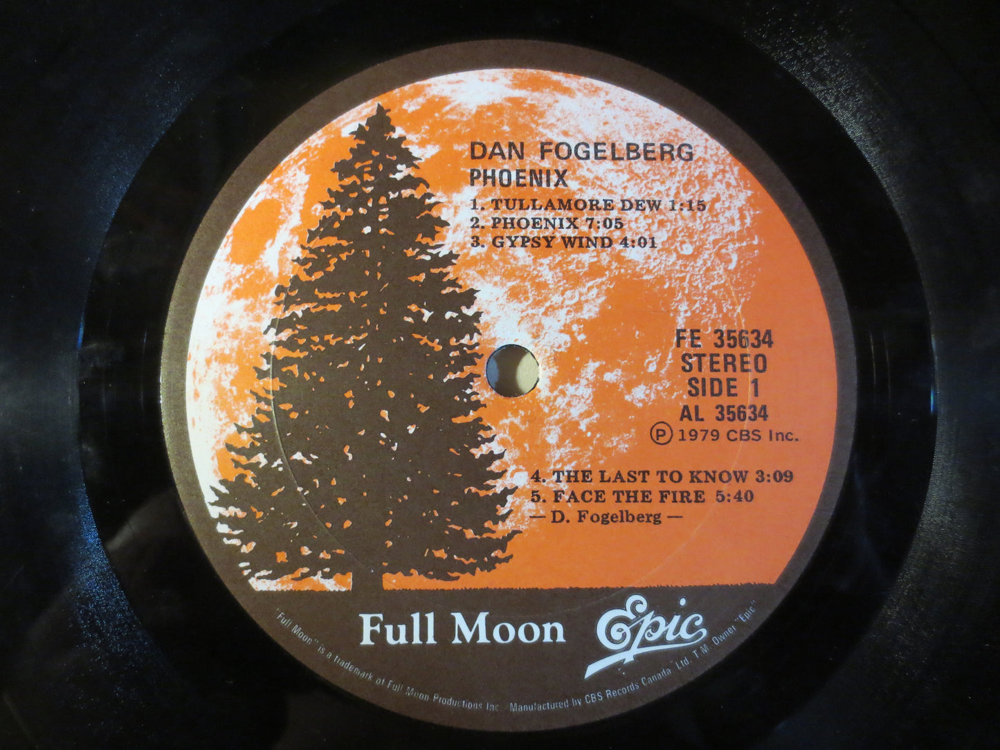 DAN FOGELBERG, PHOENIX, Folk Records, Vintage Vinyl, Record Vinyl, Records, Vinyl Record, Vinyl Album, Vinyl, 1979 Records