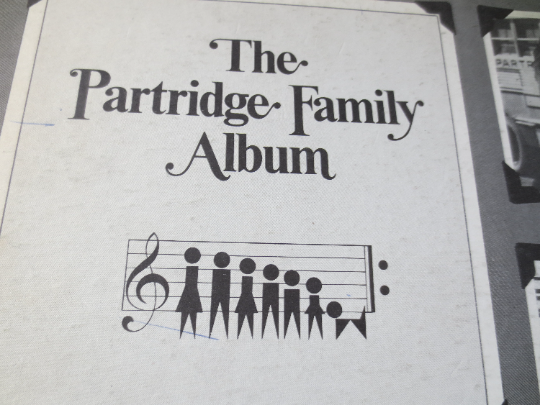 The PARTRIDGE FAMILY, Debut Record, PARTRIDGE Family Lp, Pop Records, David Cassidy Record, David Cassidy Lp, 1970 Records